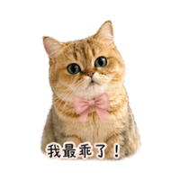 sticker image #16