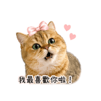 sticker image #19