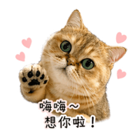 sticker image #3