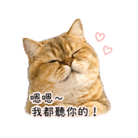 sticker image #7