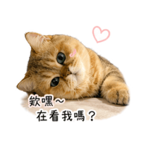 sticker image #8