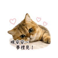sticker image #9