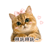 tray_icon #130913 sticker_pack