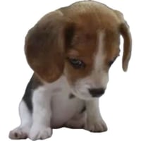 sticker image #15