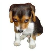 sticker image #16
