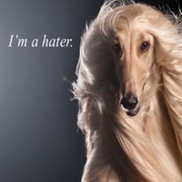 sticker image #7