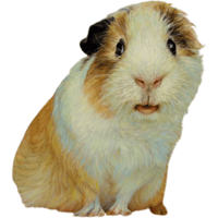 sticker image #1