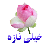 tray_icon