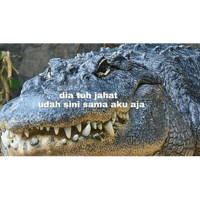 sticker image #5