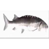 sticker image #1