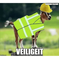 sticker image #8