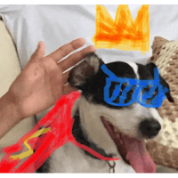 sticker image #4