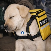 sticker image #20