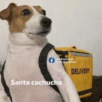 sticker image #21