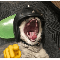sticker image #6