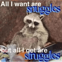 sticker image #10