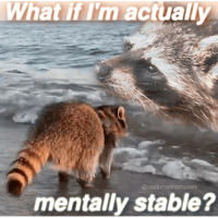 sticker image #20