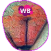 tray_icon #107244 sticker_pack