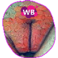 tray_icon