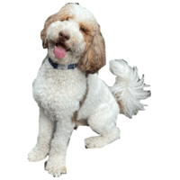 sticker image #1