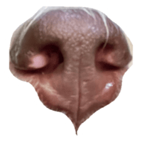 sticker image #10