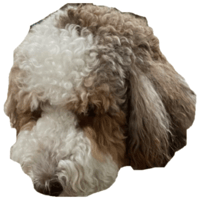 sticker image #2