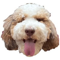 sticker image #4