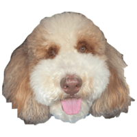 sticker image #5