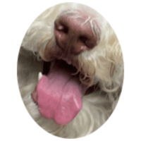sticker image #6