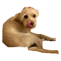 sticker image #7