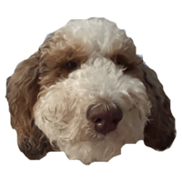 sticker image #8