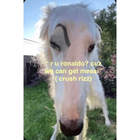 sticker image #13