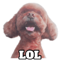 sticker image #2