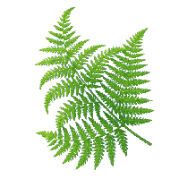 sticker image #15