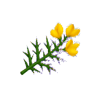 sticker image #29