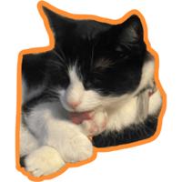 sticker image #14