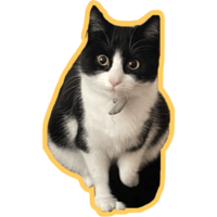 sticker image #19