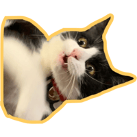 sticker image #23