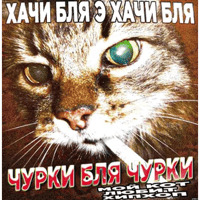 sticker image #27