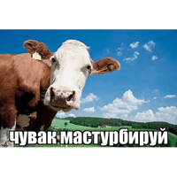 sticker image #28