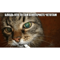 sticker image #29