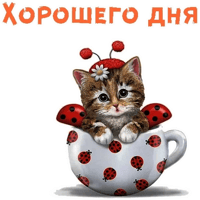 sticker image #16