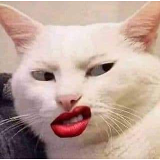 Sticker Maker - dog-cat-memes