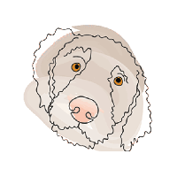 sticker image #1