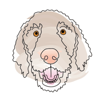 tray_icon