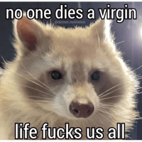 sticker image #23