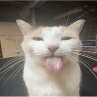 sticker image #29