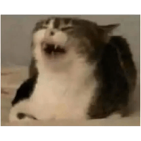 sticker image #13