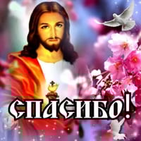 sticker image #8