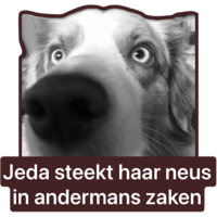 sticker image #12